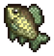 Crucian