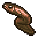 Eel
