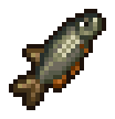 Herring