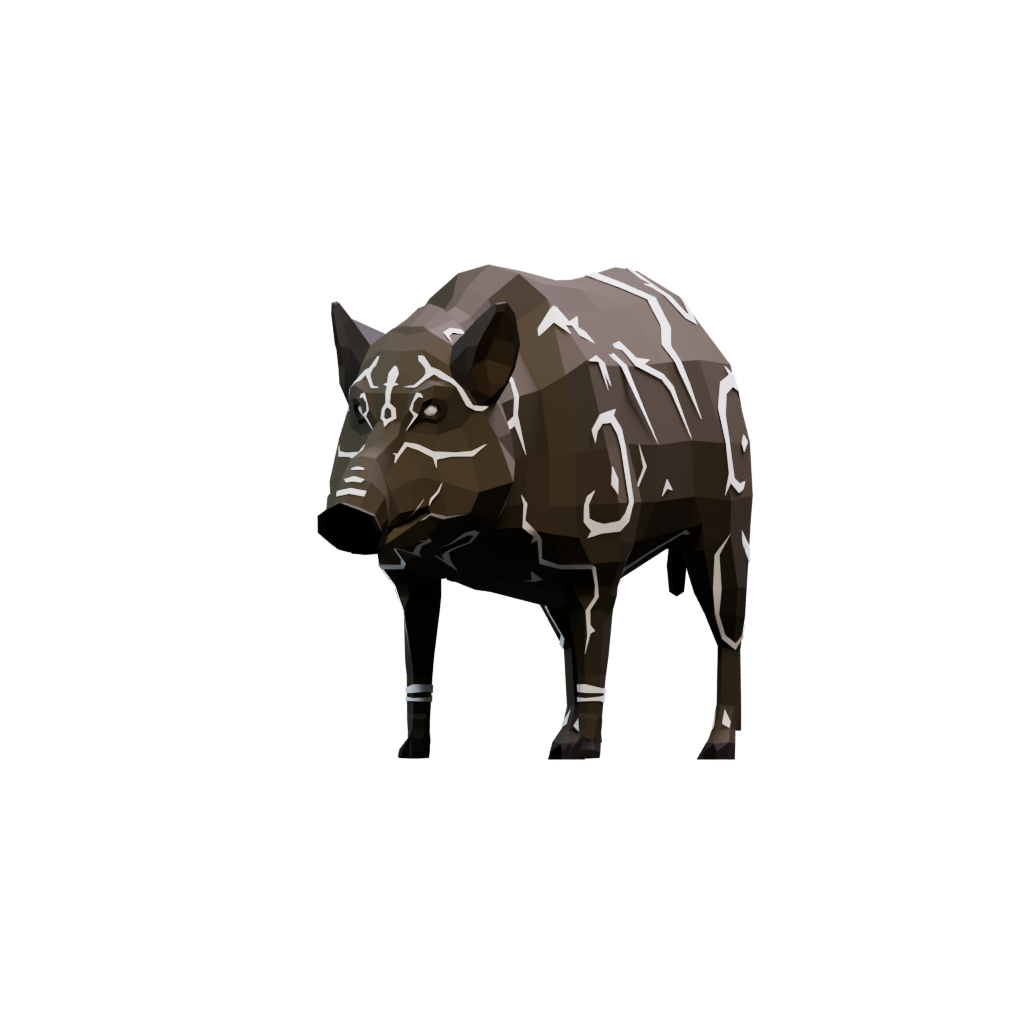 Boar
