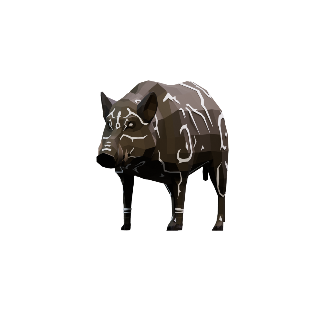 Boar