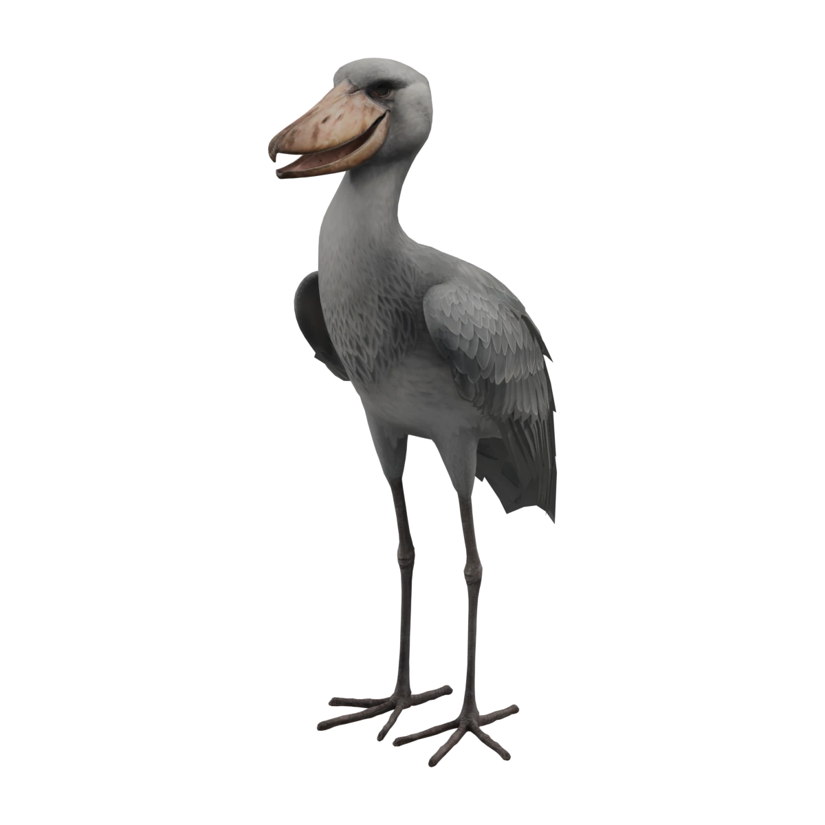 ハシビロコウの飼育エリアと体長 | Planet Zoo 2 Wiki