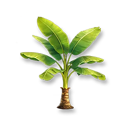 Banana Tree
