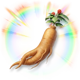 Huge Colorful Ginseng
