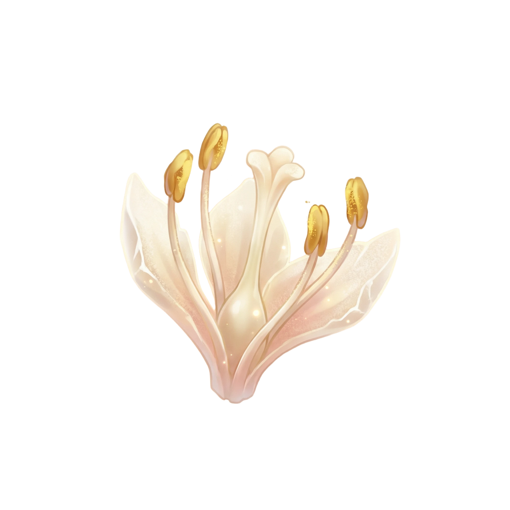Stamen of Cubbo’s Rose