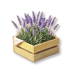 Garden Court - Lavender Nursery Garden Court - Lavender Nursery