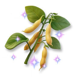 Shining Soybean