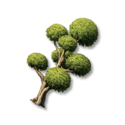 Pom-Pom Tree: II