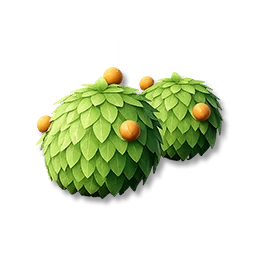 Berry Shrubs