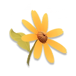 Sunny Daisy
