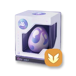 Custom Egg Box - Support
