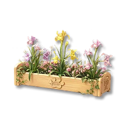 Potted Iris