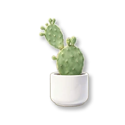 Potted Cactus