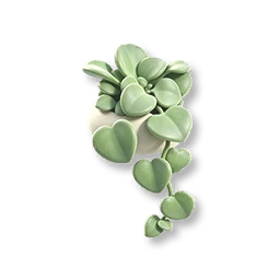Potted Heartleaf Hoya