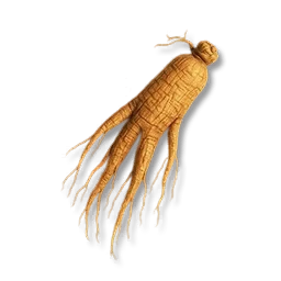 Dried Ginseng